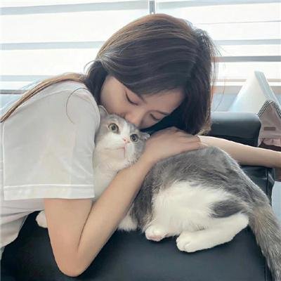 萌探探探案